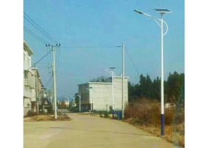 蜜桃久久黄网站單頭